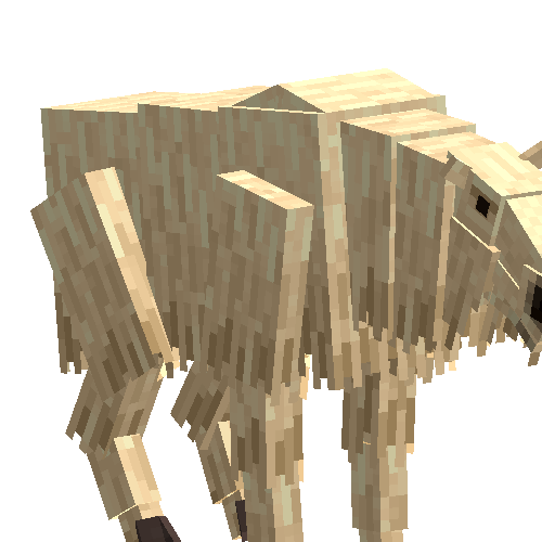 Golden takin (female)