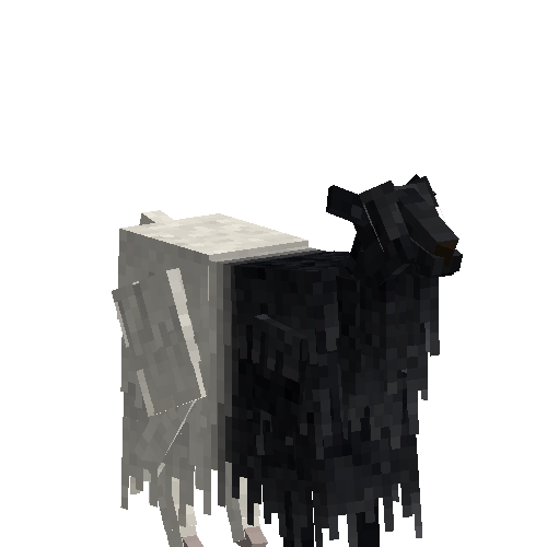 Valais goat (female)