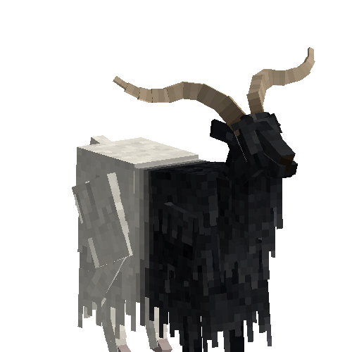 Valais goat (male)