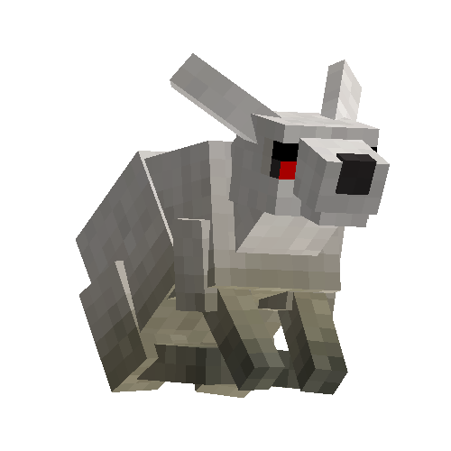 Arctic hare (female)