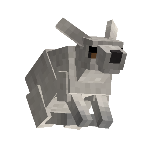 Arctic hare (male)