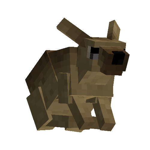Desert hare (male)