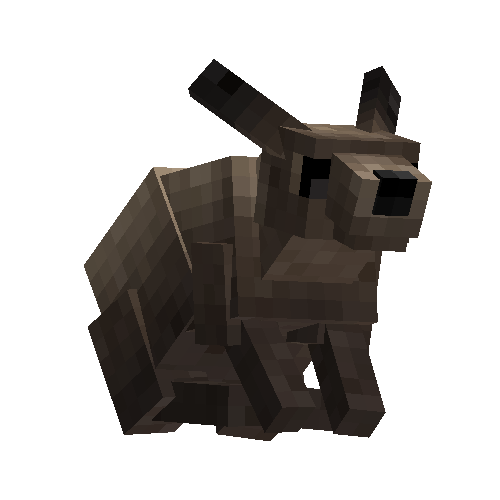 Jackrabbit (female)