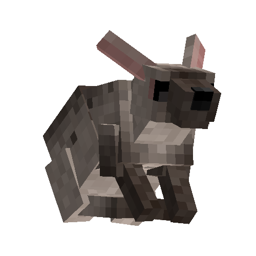 Scrub hare (female)