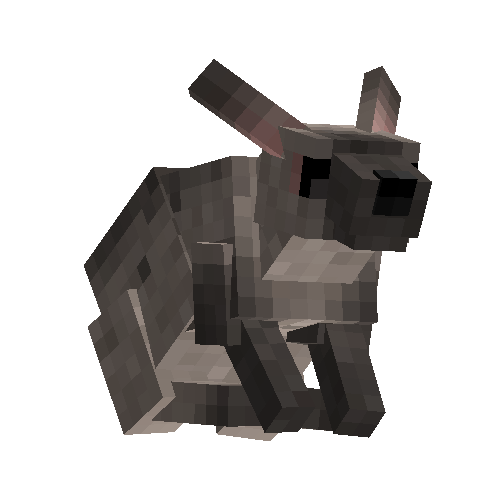 Scrub hare (male)