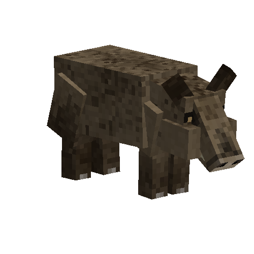 Sow