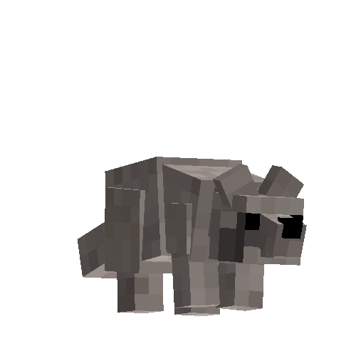 Raccoon pup (female)