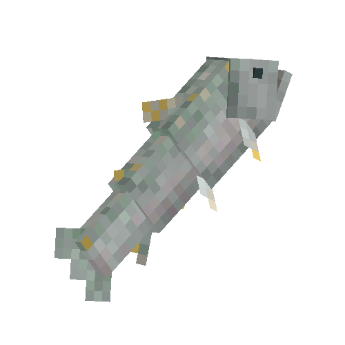 Pink salmon