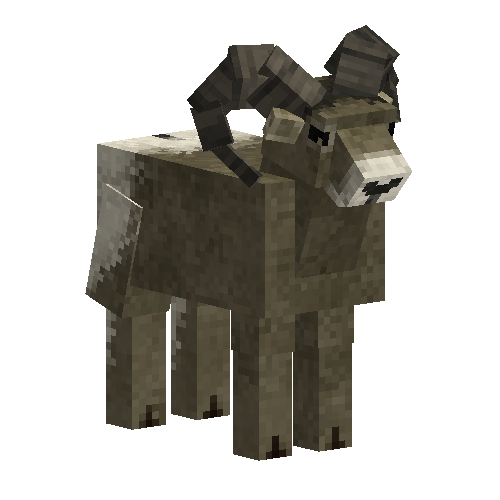 Bighorn ram