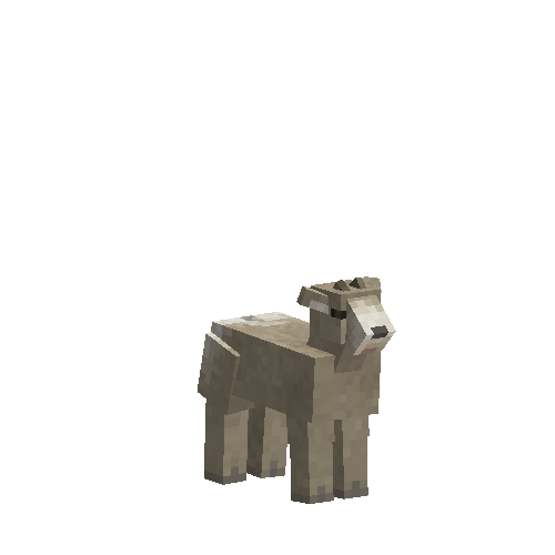 Bighorn lamb (male)
