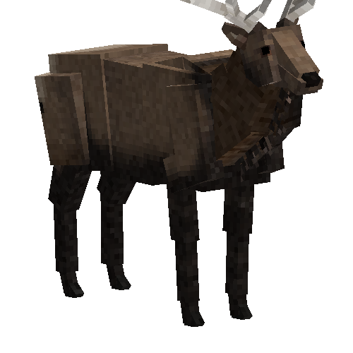 Tamed elk (male)