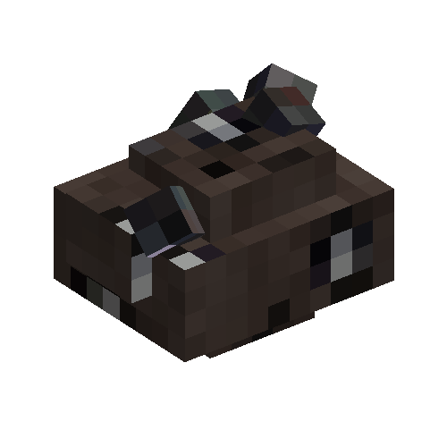 crystalizedore-poor-magnetite-slate