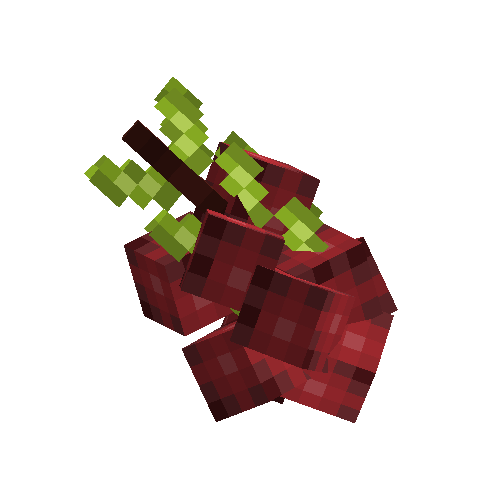 Cranberry