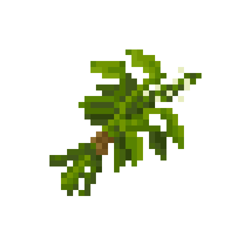 Bundle of basil