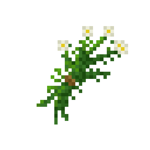 Bundle of chamomile
