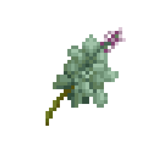 Bundle of sage