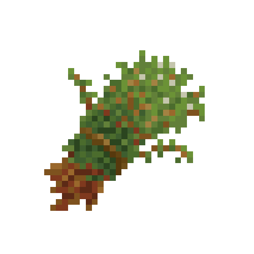 Bundle of thyme
