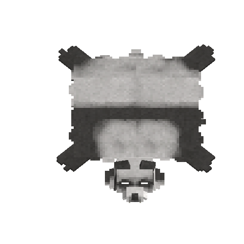 Oiled panda bear hide with head