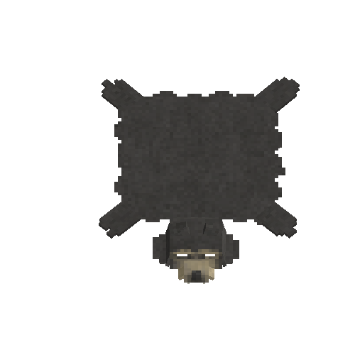 Oiled sun bear hide with head