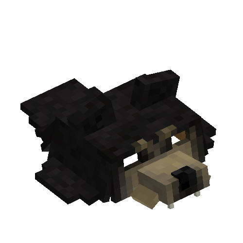 Black bear head pelt