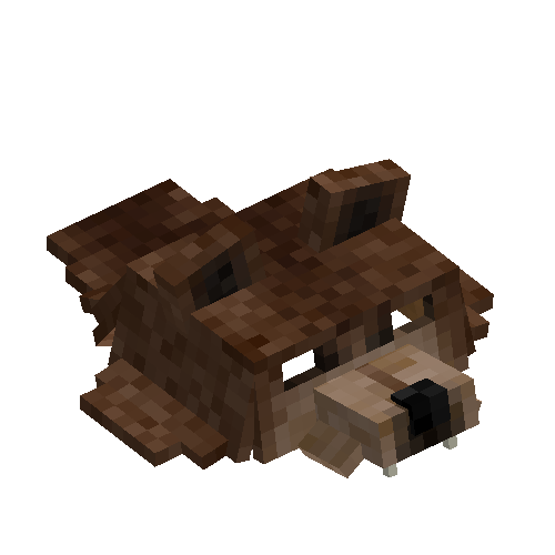 Brown bear head pelt