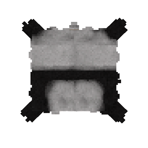 Panda bear pelt