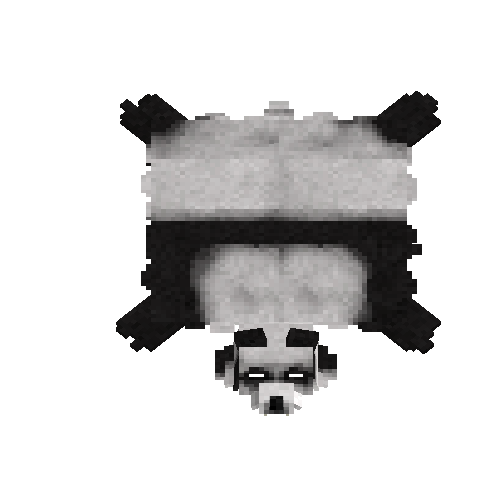 Panda bear pelt with head