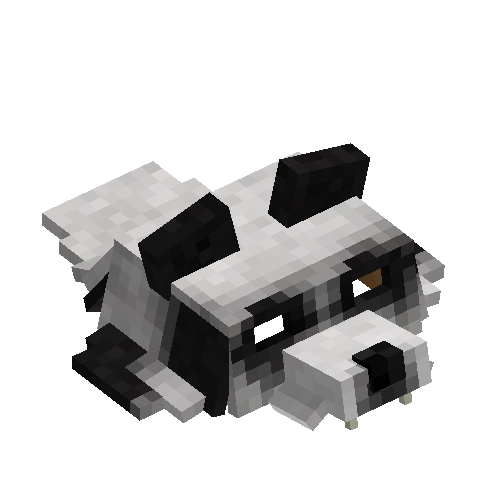 Panda bear head pelt