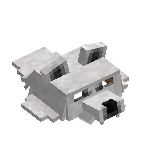 Polar bear head pelt