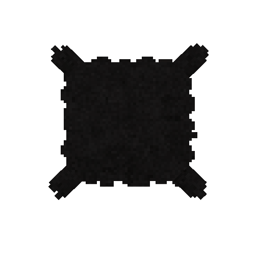 Sun bear pelt