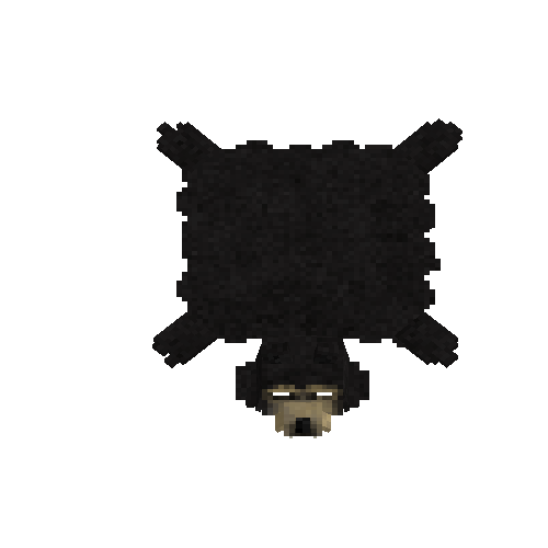Sun bear pelt with head