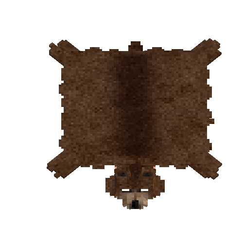 Raw brown bear hide with head