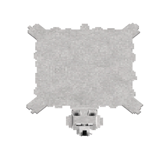 Raw polar bear hide with head