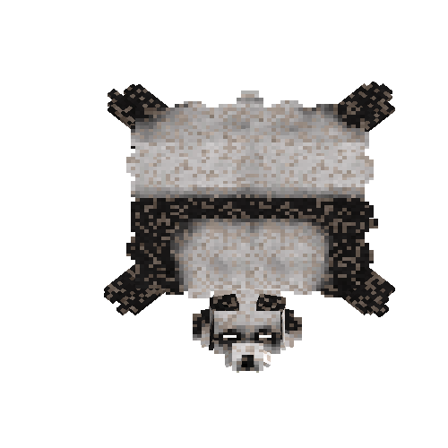 Salted panda bear hide with head