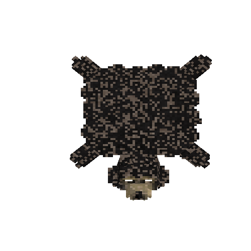 Salted sun bear hide with head