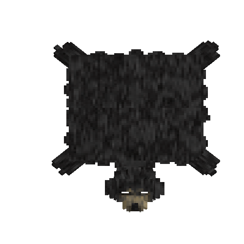 Soaked black bear hide with head