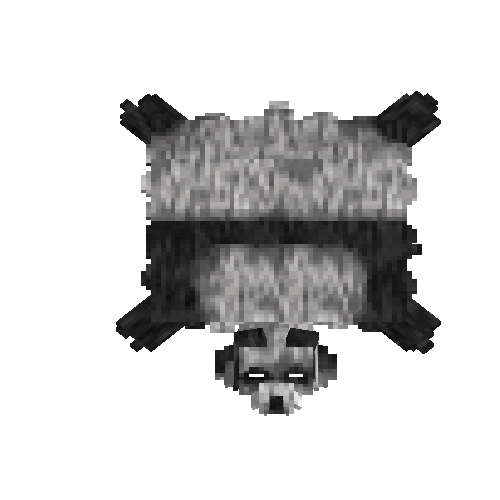 Soaked panda bear hide with head