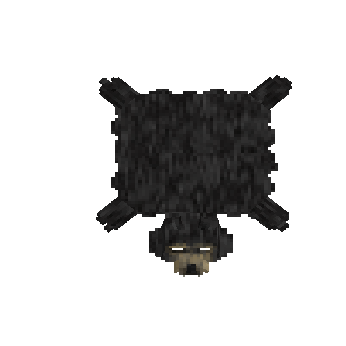 Soaked sun bear hide with head