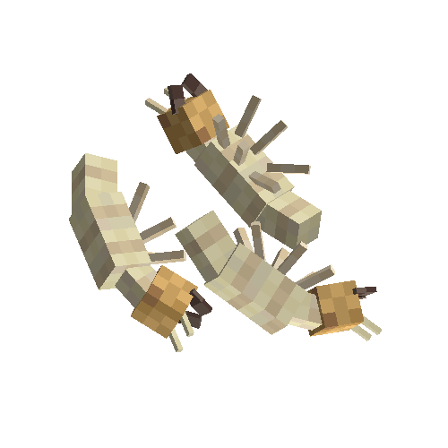 Termites