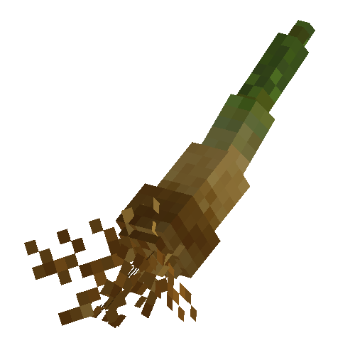 Papyrus root