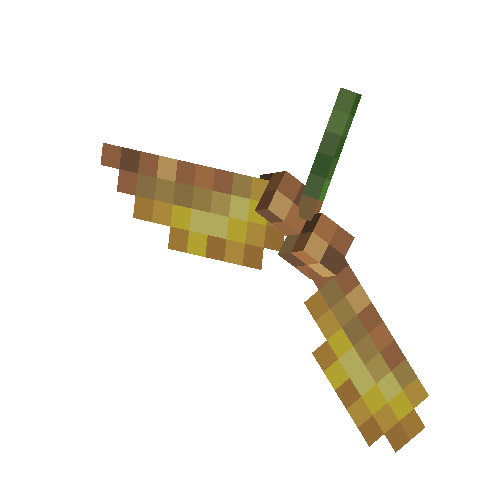 Maple seed