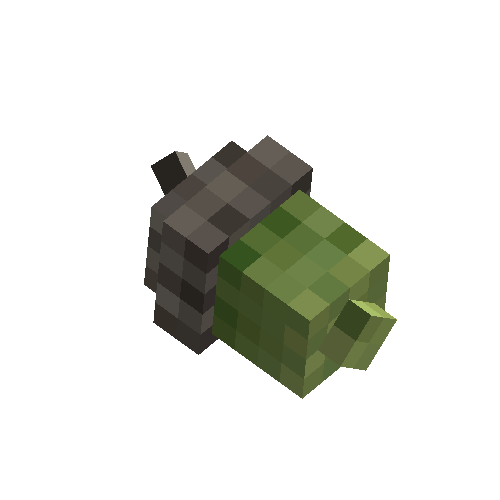 Oak seed
