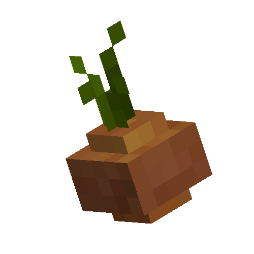 Onion
