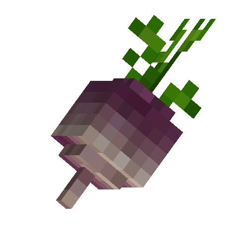 Turnip